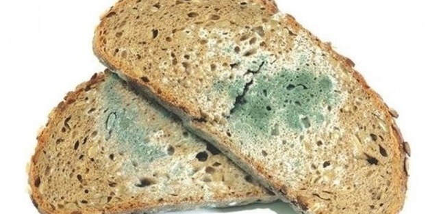 Küflü gıdaları tüketmeyin!