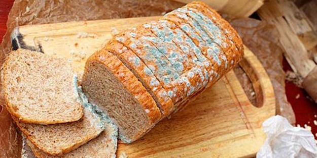 Küflü gıdaları tüketmeyin