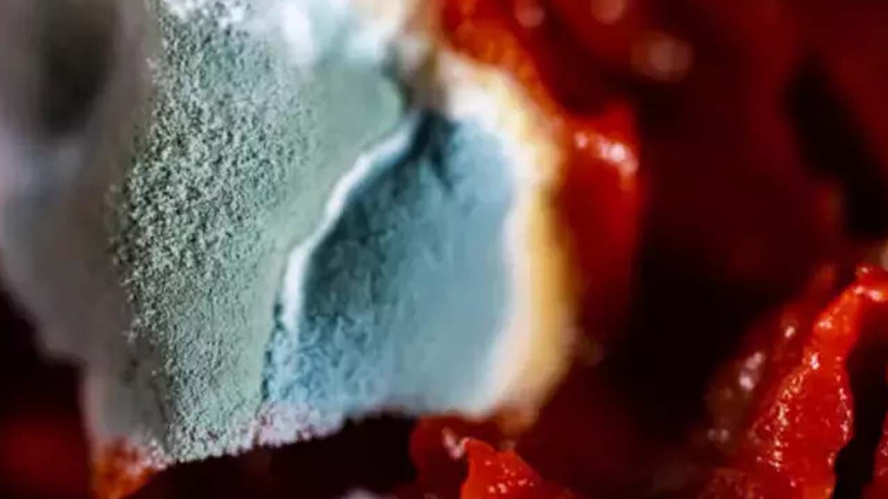 Küflü ve yumuşaksa kâbus yaşatır! Avustralyalı Doktor: "Peynir olur, salça olmaz"