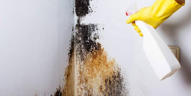 Küfü, rutubeti temizleme yöntemleri