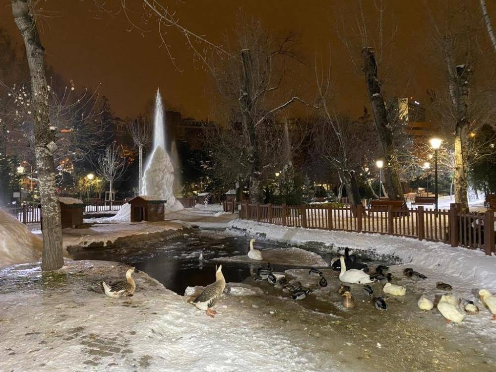 Kuğulu Park’ta harika görüntü