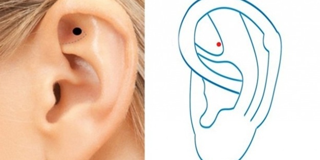 Bu noktaya dokununca bakın ne oluyor?