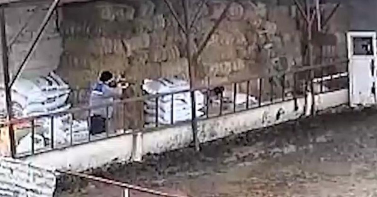 Kuleönü'nde yavru köpeği uyuşturucu iğneyle vurup çöp kamyonuna attılar!