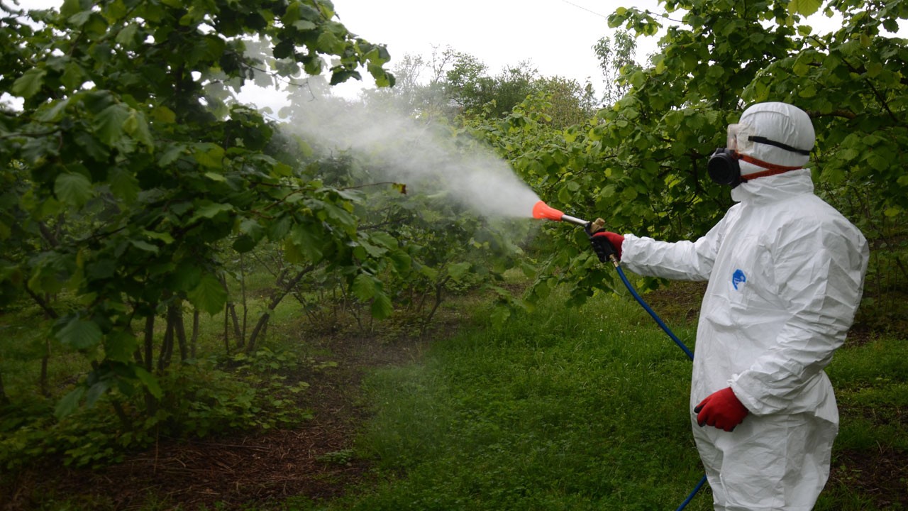 Külleme hastalığına karşı savaş başladı