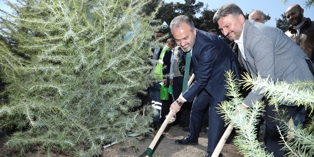 Kültür başkenti fidanları toprakla buluştu
