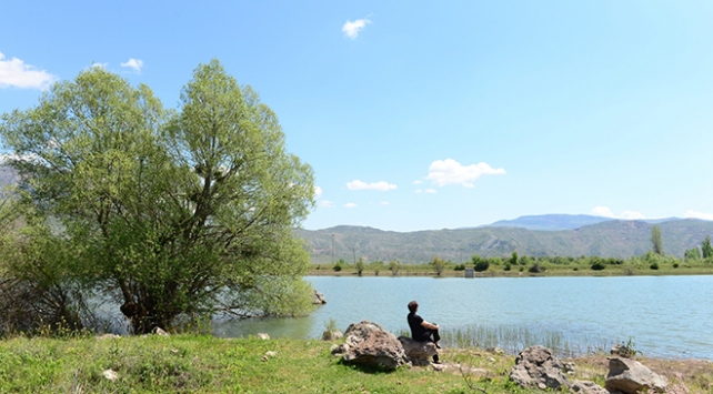 Kültür ve doğa turizmi bir arada: Şebinkarahisar