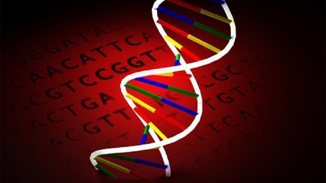 Kültürel farklar insan DNA'sına mührünü vuruyor