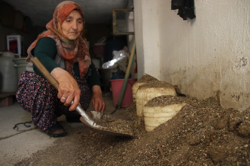 Kuma gömdükleri peyniri, 3 yıl boyunca bozulmadan tüketebiliyorlar 