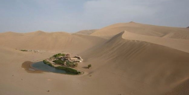 Kumlar altında kalmak üzere olan vaha kurtarıldı