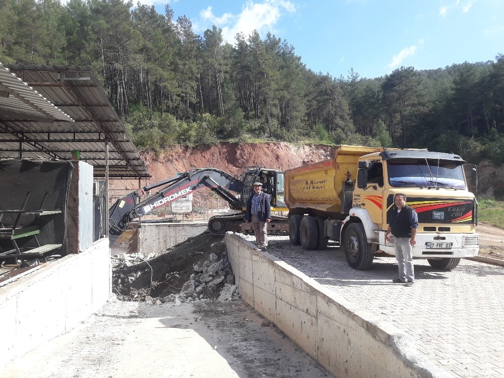 Kumluca zeytinyağı fabrikasının kapasitesi arttırılıyor 