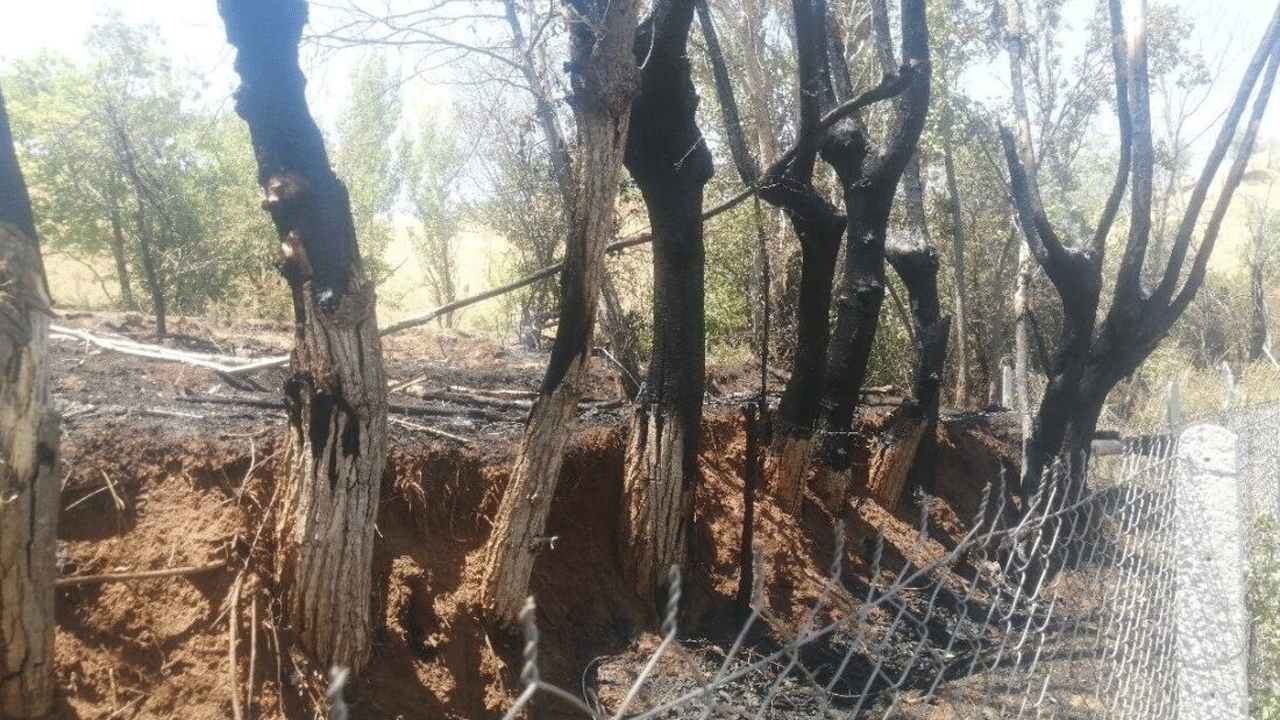 Kundaklama gibi yangın! Ot yakarken köyü ateşe verdi, kaçtı
