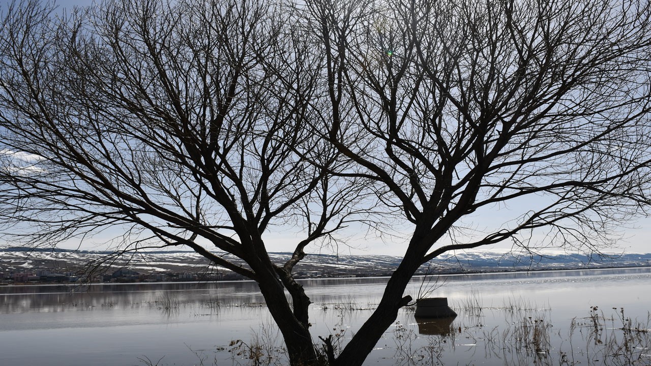 Kura Nehri taştı! Ardahan Ovası sular altında