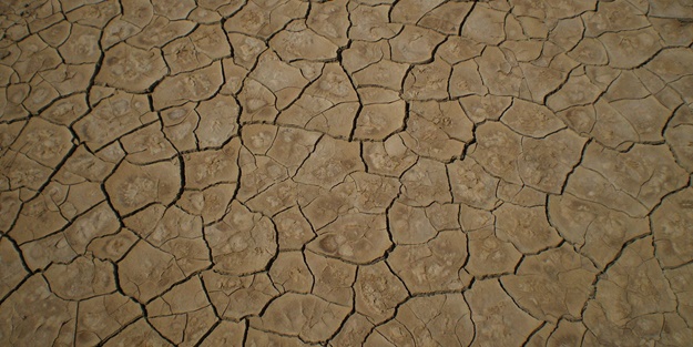 Kuraklığa karşı harekete geçtiler! Yeterli olmazsa...