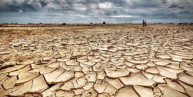Kuraklık 700 bin besi hayvanını telef etti