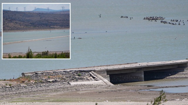 Kuraklık barajı yuttu, eski yol ortaya çıktı!