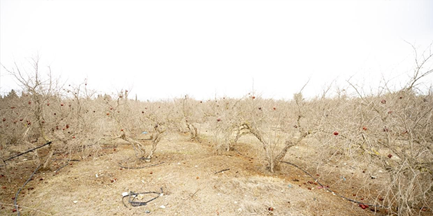 Kuraklık nedeniyle yağmur duasına çıktılar