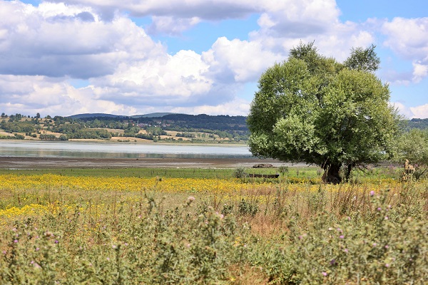 Kuraklık orayı da vurdu! Ladik Gölü küçülüyor