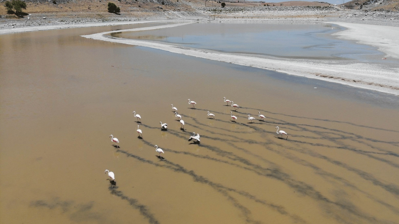 Kuraklık Ula Göleti'ni tehdit ediyor! Su seviyesi alarm veriyor
