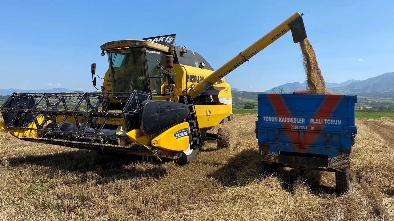 Kuraklık ve yağış çiftçiyi vurdu! Yüzde 50 verim kaybı