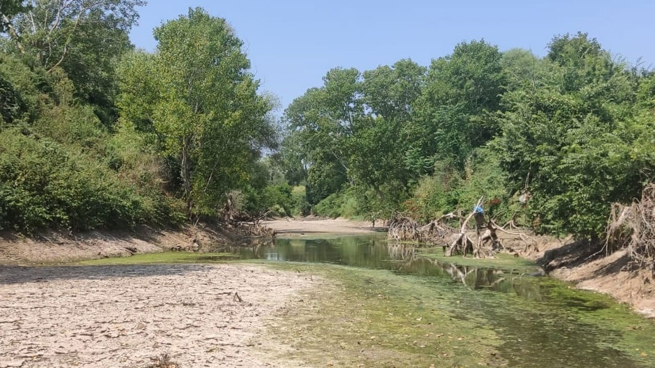Kuraklık vurdu! Kocabaş Çayı'nda balık ölümleri