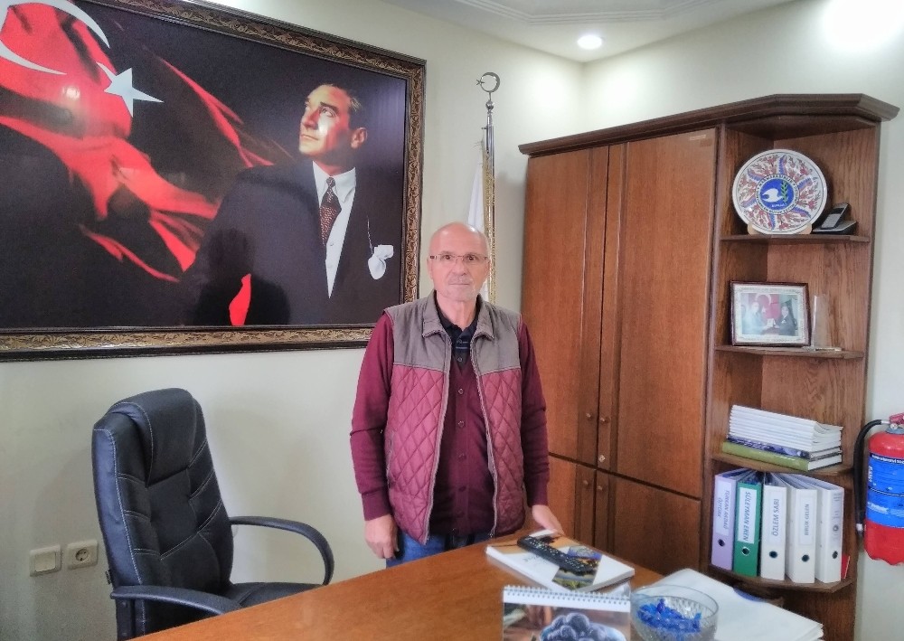 Kuraklık zeytin üreticisini vurdu 