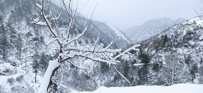 Kuraklıktan sonra gelen kar yüzleri güldürdü