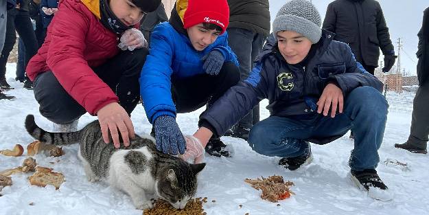 Kur'an kursu öğrencileri "can dostlar"a yiyecek bırakıyor