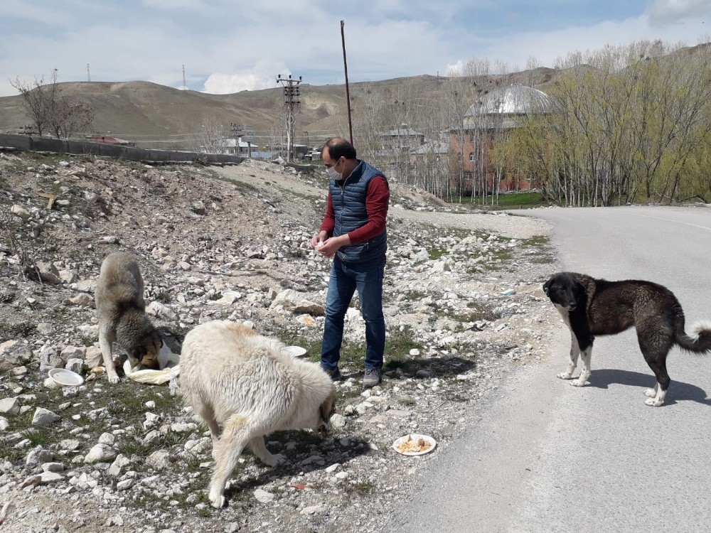Kur’an kursu öğreticisinden sokak hayvanlarına destek 