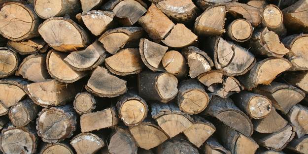 Kur’an kursundan odun ve kömür çaldılar