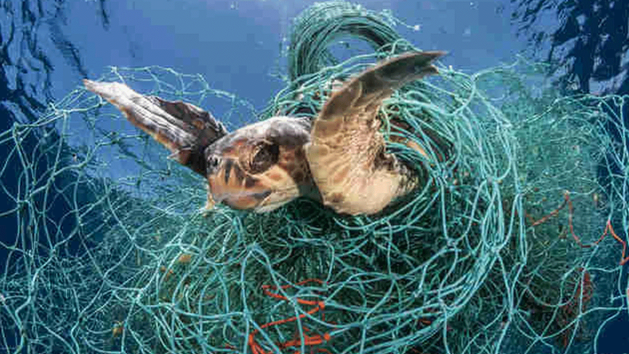 Kurbağa adamlar denize huzur verdi! Hayalet ağlar temizlendi, balıklara yuva kuruldu