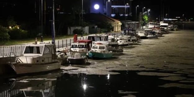 Kurbağalıdere'deki manzara görenleri şaşırttı!
