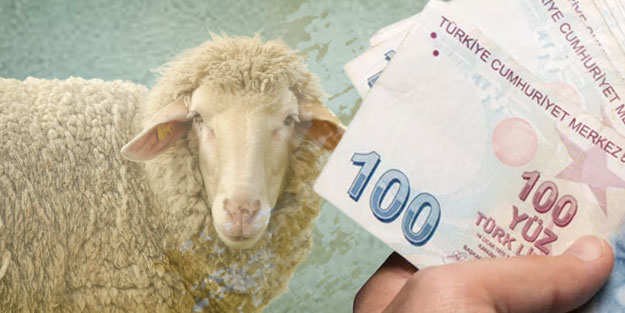 Kurban Bayramı emekli ikramiyesi ne zaman yatacak?