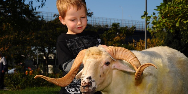 Kurban bayramı ne zaman? | Kurban bayramı 2020