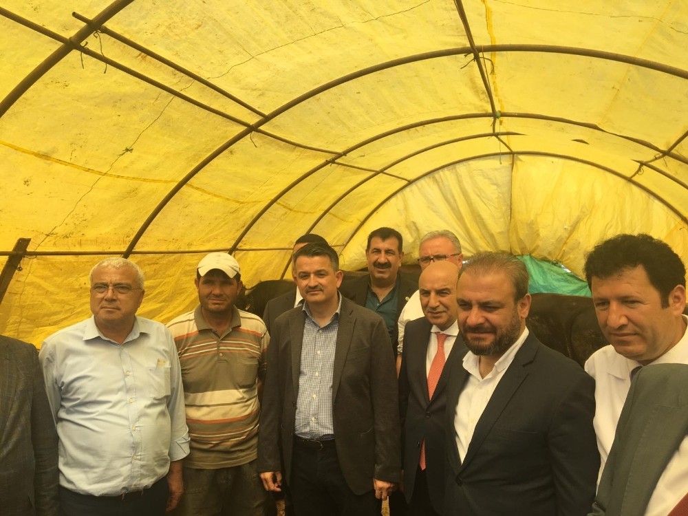 Kurban Bayramı öncesinde Bakan Pakdemirli’den denetim 