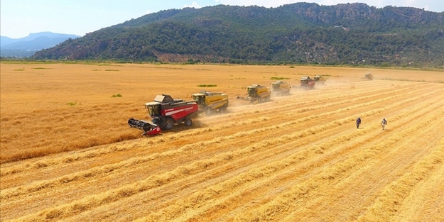 Kurban Bayramı tatilinde hububat alımına devam ediyecek