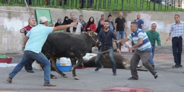 Kurban Bayramı'na bu kareler damga vurdu