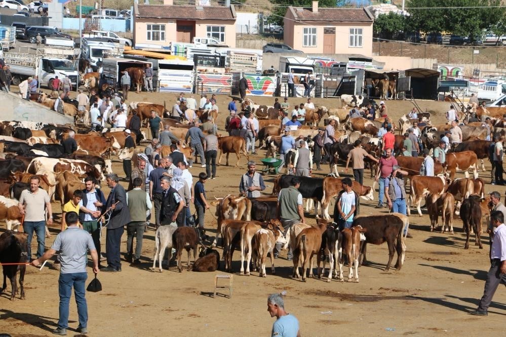 Kurban Bayramı'nda ‘acemi' kasaplara uyarı