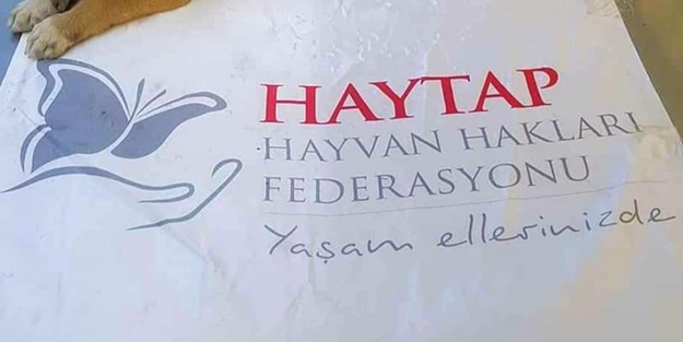 "Kurban Bayramı'nda Müslümanlar can versin" diyen Haytap'tan ilkokul öğrencilerine 'beyin yıkama' operasyonu