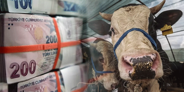 Kurban Bayramı'nda ne kadar harcama yapıldı? Dudak uçuklatan rakam açıklandı