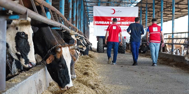 Kurban emanetleri ihtiyaç sahiplerine ulaşıyor