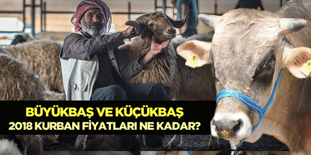Kurban fiyatları 2018 kurban fiyatları ne kadar?