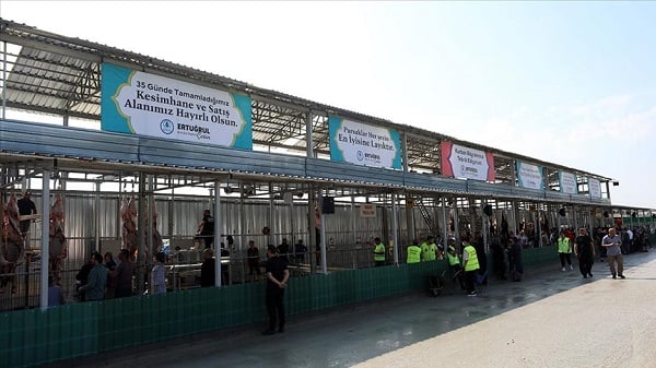 Kurban gece kesilebilir mi? Kurban kesmenin saati var mı Diyanet