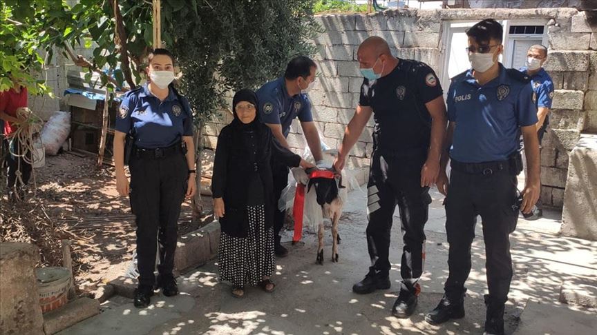 Kurban için biriktirdiği parayı kaybeden Rahme nineye polisler kurbanlık aldı