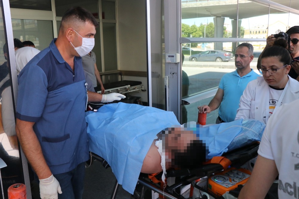 Kurban kesen vatandaşı arı soktu 