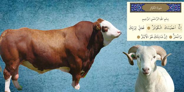 Kurban kesmek hangi ayette geçiyor? Kurban kesmek/Kevser Suresi