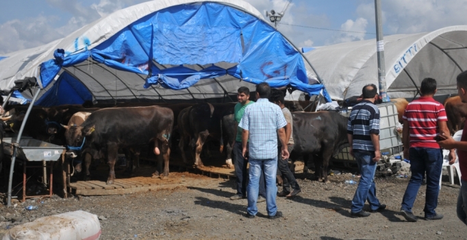 Kurban pazarında arefe kalabalığı