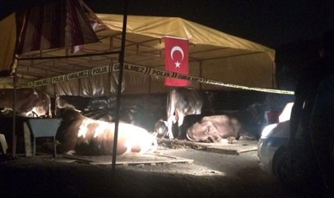 Kurban pazarında silahlı kavga: 3 kişi öldü