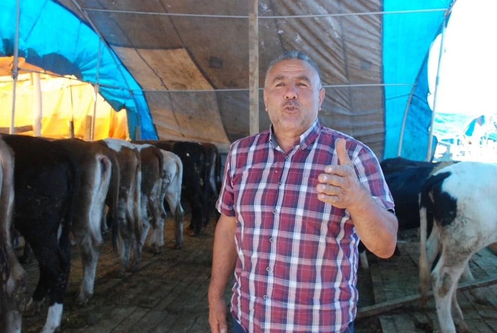 Kurban pazarında türkü sesleri yükseliyor 
