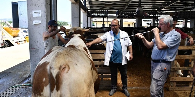 'Kurban Yakalama Timi' bayrama hazır