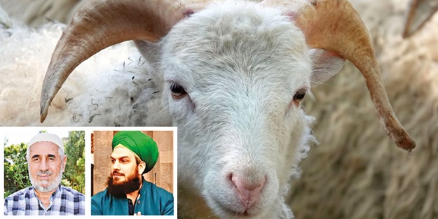 Kurbana haramı karıştırmayın